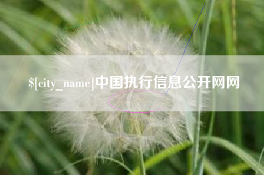 昌乐中国执行信息公开网网