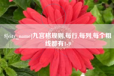 昌乐九宫格规则,每行,每列,每个粗线都有1-9