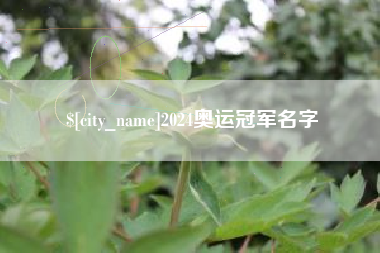 昌乐2024奥运冠军名字