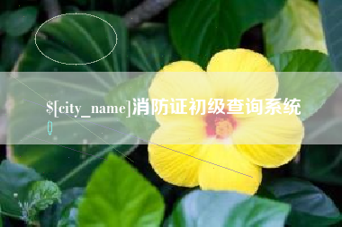 昌乐消防证初级查询系统