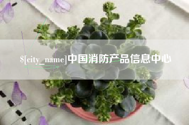 昌乐中国消防产品信息中心