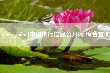 昌乐中国执行信息公开网 综合查询