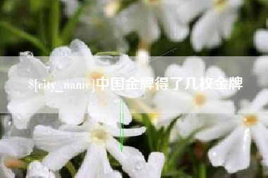 昌乐中国金牌得了几枚金牌