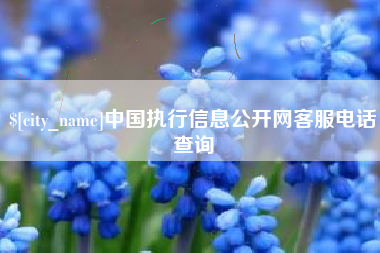 昌乐中国执行信息公开网客服电话查询