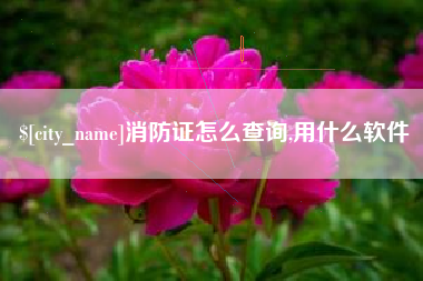 昌乐消防证怎么查询,用什么软件
