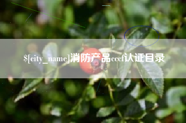 昌乐消防产品cccf认证目录