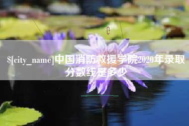 昌乐中国消防救援学院2020年录取分数线是多少