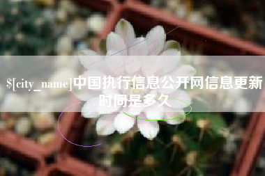 昌乐中国执行信息公开网信息更新时间是多久