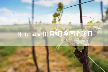 昌乐11月9日全国消防日