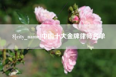 昌乐中国十大金牌律师名单
