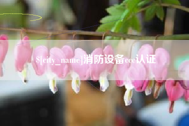 昌乐消防设备ccc认证