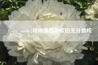 昌乐河南消防学校招生分数线