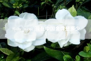 昌乐现在中国金牌是多少