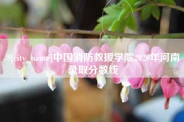 昌乐中国消防救援学院2020年河南录取分数线