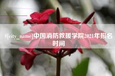 昌乐中国消防救援学院2021年报名时间