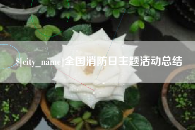 昌乐全国消防日主题活动总结