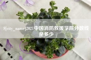 昌乐2021中国消防救援学院分数线是多少