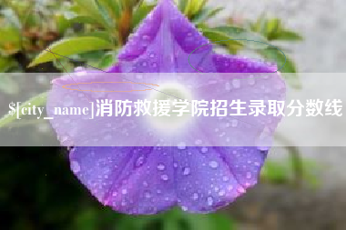 昌乐消防救援学院招生录取分数线