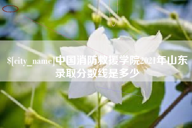 昌乐中国消防救援学院2021年山东录取分数线是多少