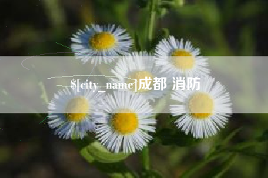 昌乐成都 消防