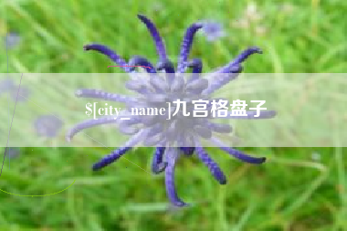 昌乐九宫格盘子
