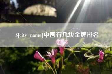 昌乐中国有几块金牌排名