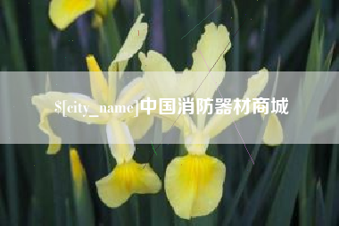 昌乐中国消防器材商城