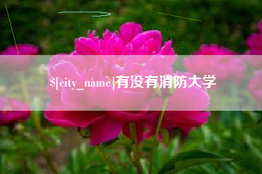 昌乐有没有消防大学