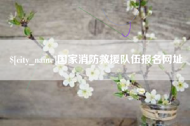 昌乐国家消防救援队伍报名网址