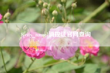 昌乐消控证官网查询