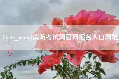昌乐消防考试网官网报名入口网址