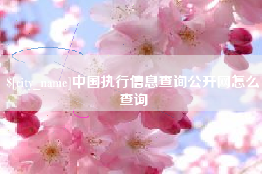 昌乐中国执行信息查询公开网怎么查询
