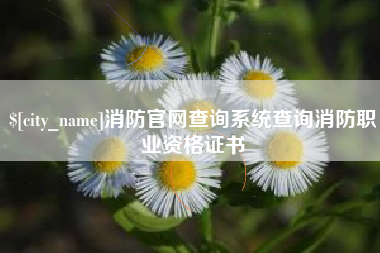 昌乐消防官网查询系统查询消防职业资格证书