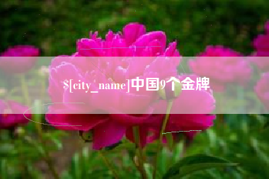 昌乐中国9个金牌
