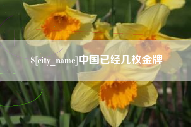 昌乐中国已经几枚金牌