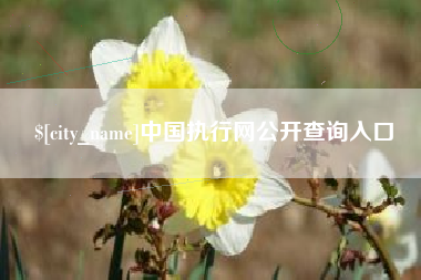 昌乐中国执行网公开查询入口
