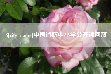 昌乐中国消防中小学公开课回放