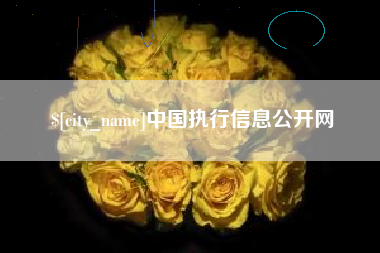 昌乐中国执行信息公开网
