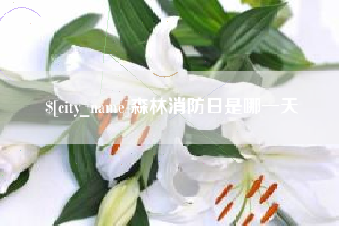 昌乐森林消防日是哪一天