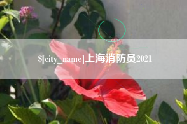 昌乐上海消防员2021