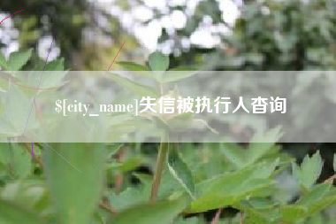 昌乐失信被执行人杳询