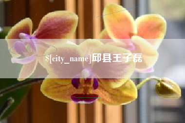 昌乐邱县王子磊