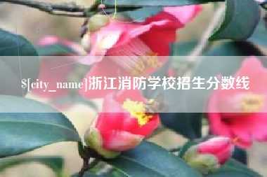 昌乐浙江消防学校招生分数线