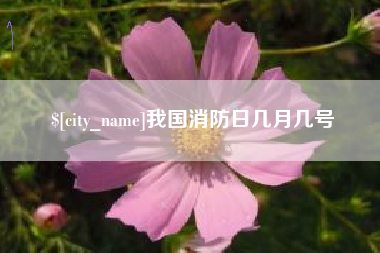 昌乐我国消防日几月几号