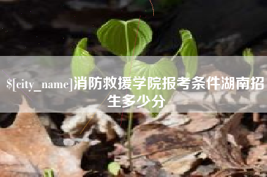 昌乐消防救援学院报考条件湖南招生多少分