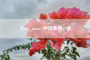 昌乐中国金牌18金