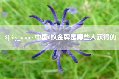 昌乐中国6枚金牌是哪些人获得的