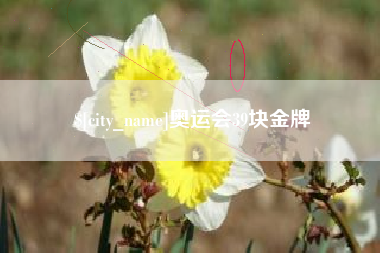 昌乐奥运会39块金牌
