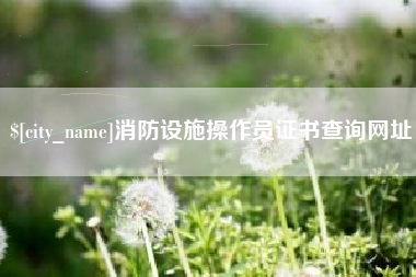 昌乐消防设施操作员证书查询网址