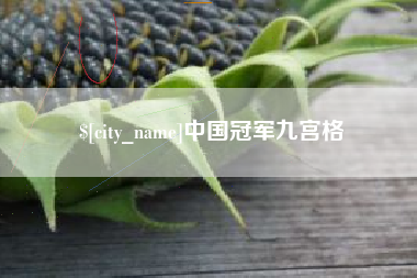 昌乐中国冠军九宫格